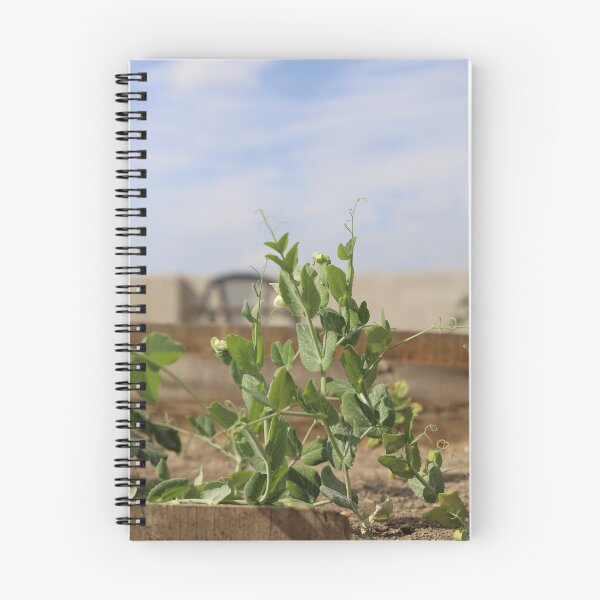 Item preview, Pea Plant Flower Growth in Natural Light designed and sold by diabphotography.