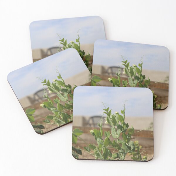 Item preview, Pea Plant Flower Growth in Natural Light designed and sold by diabshoots.