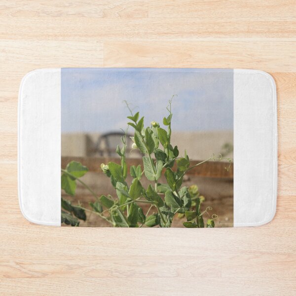 Item preview, Pea Plant Flower Growth in Natural Light designed and sold by diabphotography.