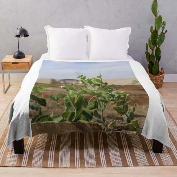 Item preview, Pea Plant Flower Growth in Natural Light designed and sold by diabphotography.