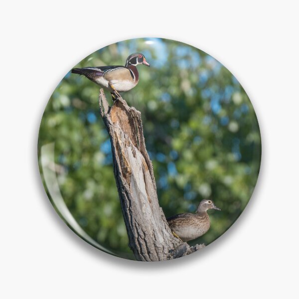 Item preview, Wood Ducks on Tree Branch designed and sold by Debra Martz.
