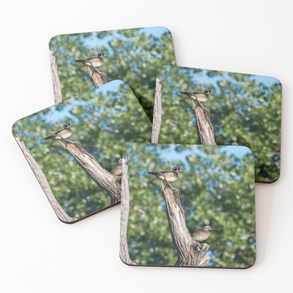 Item preview, Wood Ducks on Tree Branch designed and sold by Debra Martz.