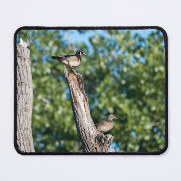 Item preview, Wood Ducks on Tree Branch designed and sold by Debra Martz.