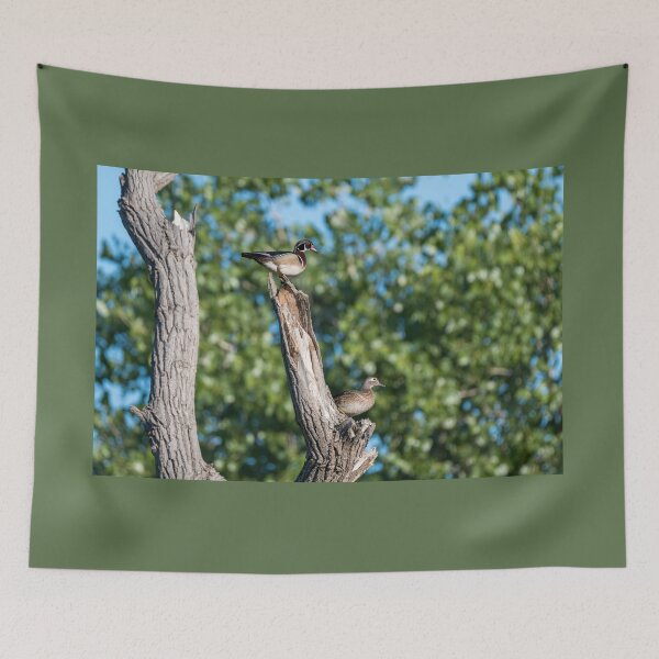 Item preview, Wood Ducks on Tree Branch designed and sold by Debra Martz.