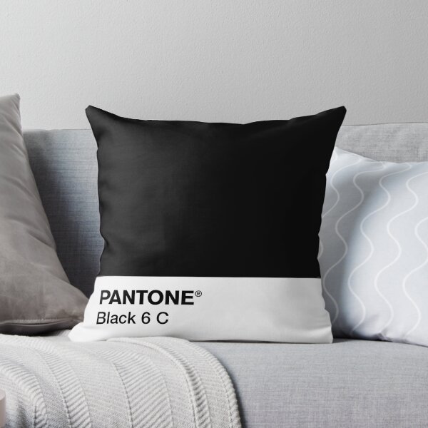 PANTONE NEGRO 6 C Cojín