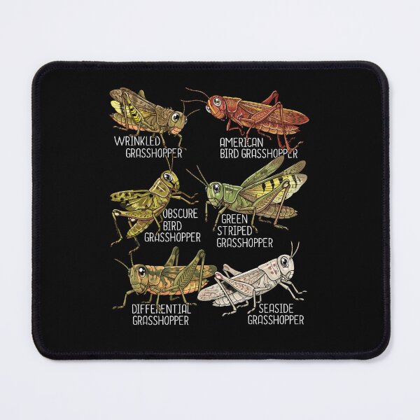 Item preview, Grasshopper Lover Kids Insects Species Grasshopper designed and sold by DSWShirts.