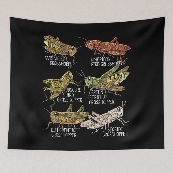 Item preview, Grasshopper Lover Kids Insects Species Grasshopper designed and sold by DSWShirts.