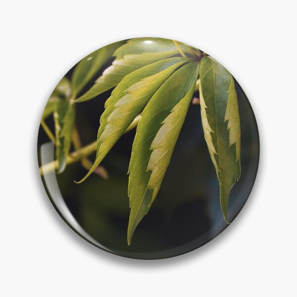 Item preview, Green grape leaves on dark background designed and sold by TanalyFlowers.