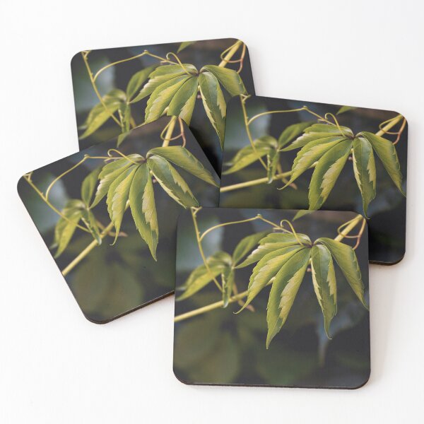 Item preview, Green grape leaves on dark background designed and sold by TanalyFlowers.