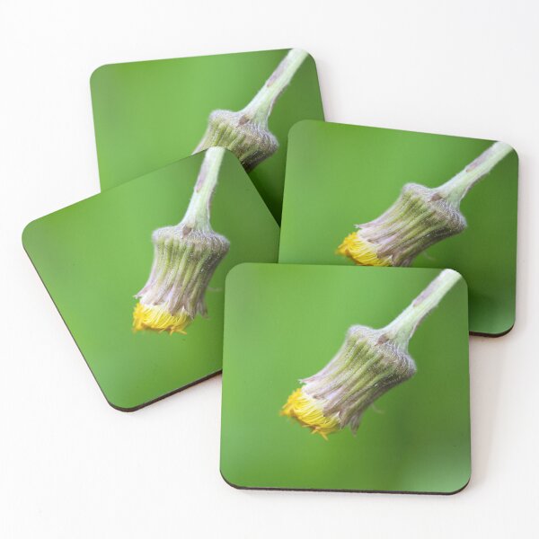 Item preview, Yellow dandelion bud macro on green background designed and sold by TanalyFlowers.