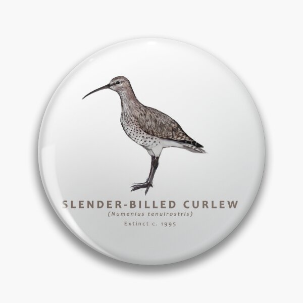 Item preview, Slender-billed Curlew designed and sold by Haliaeetus.
