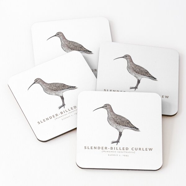 Item preview, Slender-billed Curlew designed and sold by Haliaeetus.