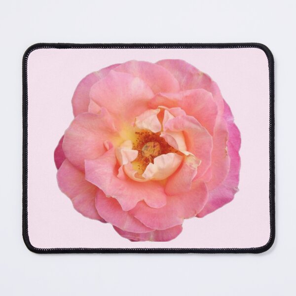 Item preview, wild pink rose flower designed and sold by inainart.
