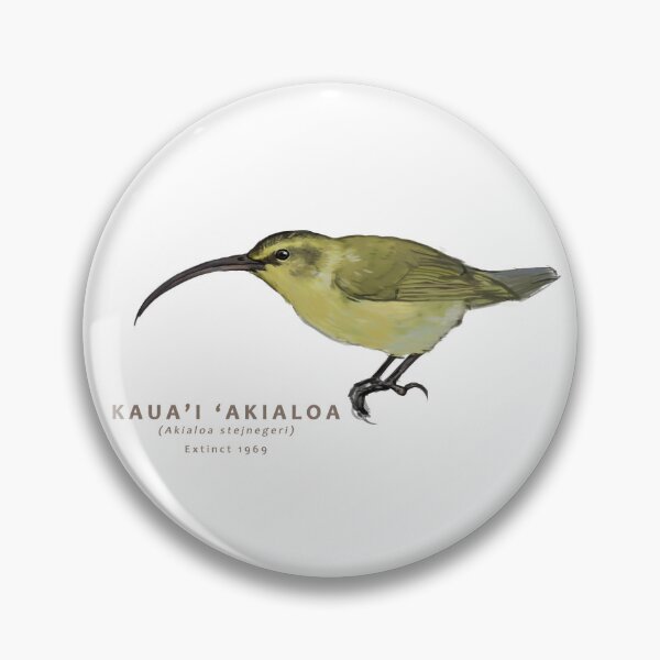 Item preview, Kaua'i 'Akialoa designed and sold by Haliaeetus.
