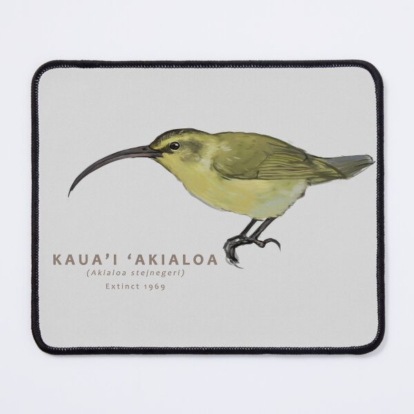 Item preview, Kaua'i 'Akialoa designed and sold by Haliaeetus.