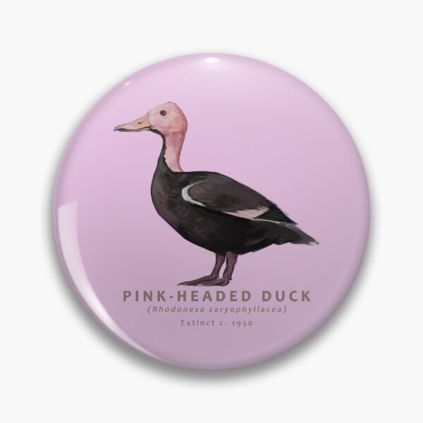 Item preview, Pink-headed Duck designed and sold by Haliaeetus.
