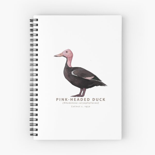 Item preview, Pink-headed Duck designed and sold by Haliaeetus.
