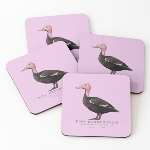 Item preview, Pink-headed Duck designed and sold by Haliaeetus.