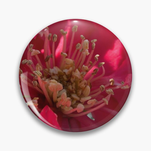 Item preview, Quince designed and sold by Betsy Phillips.