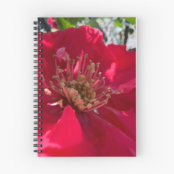 Item preview, Quince designed and sold by Betsy Phillips.