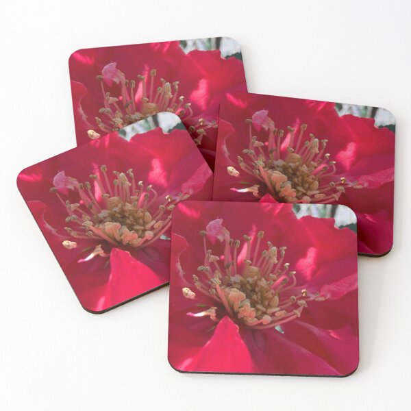 Item preview, Quince designed and sold by Betsy Phillips.