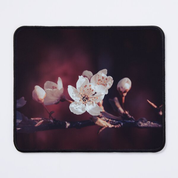 Item preview, Midnight blossom designed and sold by Mutezone.