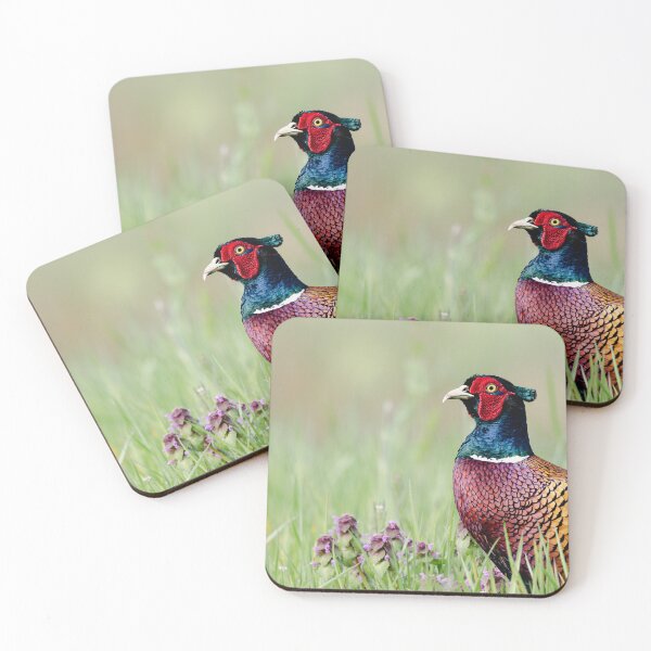 Item preview, Moody Pheasant Photography for Nature Interiors designed and sold by Mutezone.