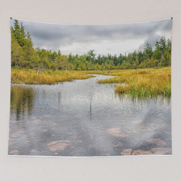 Item preview, Tranquil pond designed and sold by Photopat.