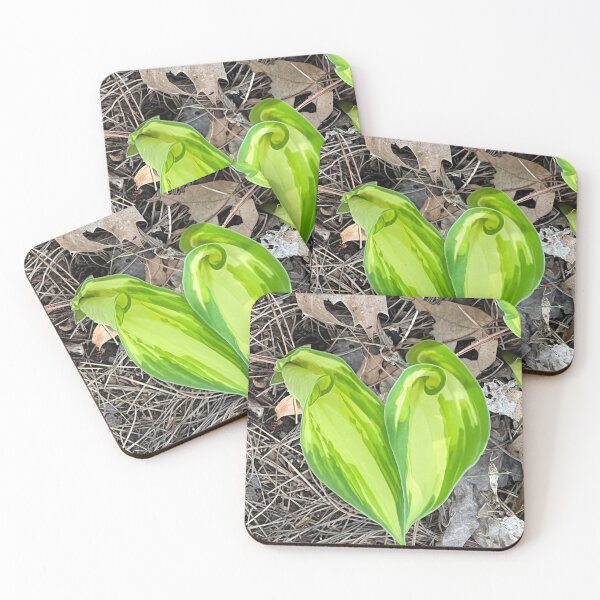 Item preview, Nature Heart designed and sold by Moss-Mandalas.