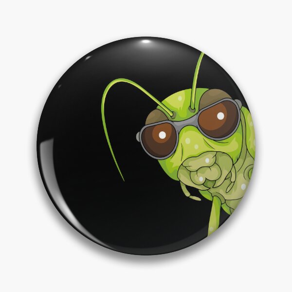 Item preview, Cool Grasshopper Sunglasses Insect Lover Kids Grasshopper designed and sold by DSWShirts.