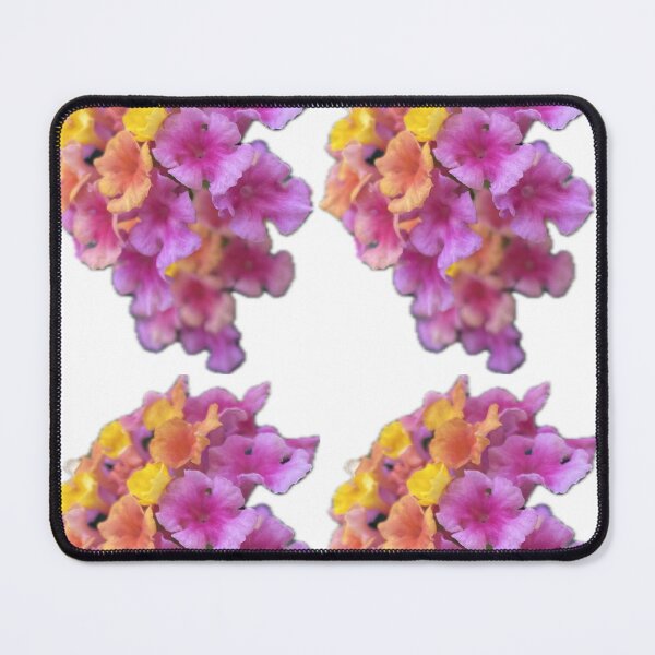 Item preview, Colorful Lantana Flower Cluster Isolated on White designed and sold by BalkanBloom.