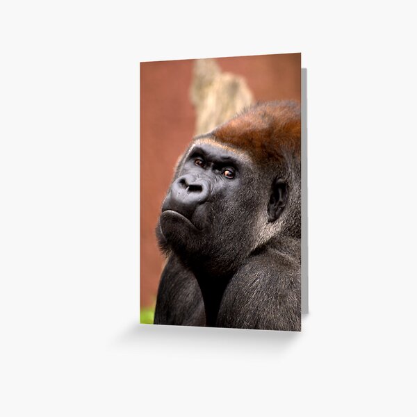 Gorilla Greeting Card