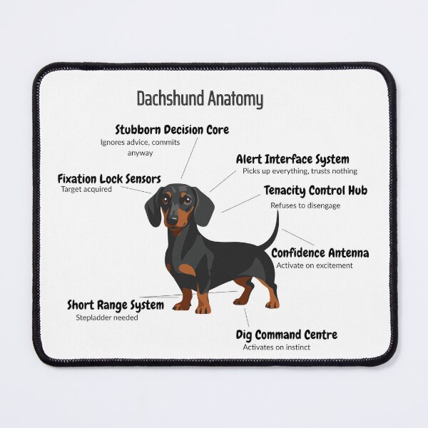 Item preview, Dachshund Anatomy - Funny Weiner Dog Body Parts designed and sold by MuggsandMabel.