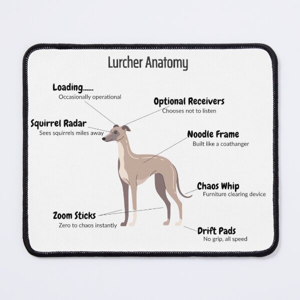 Item preview, Lurcher Anatomy: Funny Dog Body Parts designed and sold by MuggsandMabel.