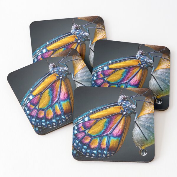 Item preview, Colorful Butterfly Emerging from Chrysalis Stage designed and sold by Artessie.