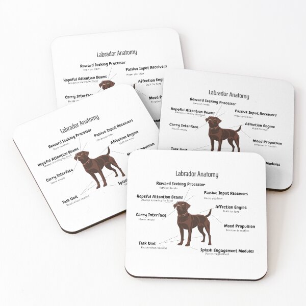 Item preview, Labrador Anatomy - Funny Lab Body Parts designed and sold by MuggsandMabel.