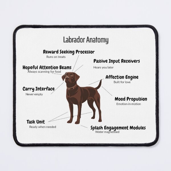 Item preview, Labrador Anatomy - Funny Lab Body Parts designed and sold by MuggsandMabel.