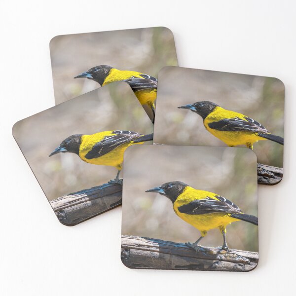 Item preview, Audubon's Oriole Mission Texas designed and sold by Debra Martz.