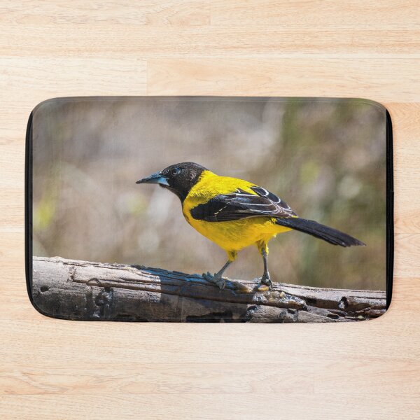 Item preview, Audubon's Oriole Mission Texas designed and sold by Debra Martz.