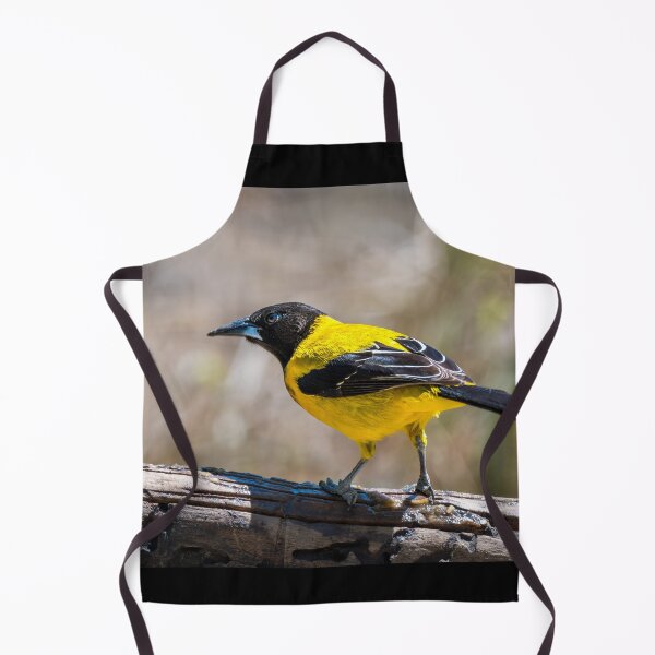 Item preview, Audubon's Oriole Mission Texas designed and sold by Debra Martz.