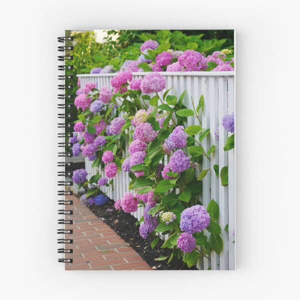 Item preview, Hydrangeas of Edgartown II - Ombre Blooms Against a White Fence designed and sold by Loveisthebtwd.