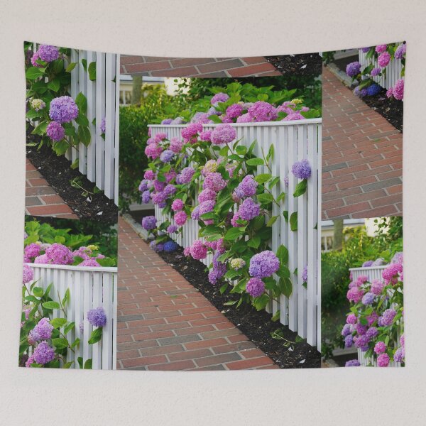 Item preview, Hydrangeas of Edgartown II - Ombre Blooms Against a White Fence designed and sold by Loveisthebtwd.