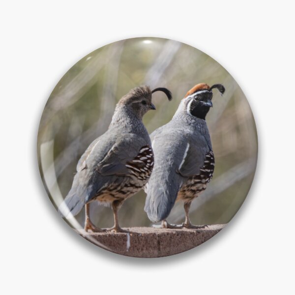 Item preview, Two quails on a morning walk designed and sold by SchelzHorizons.