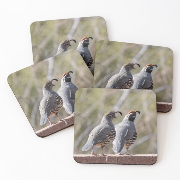 Item preview, Two quails on a morning walk designed and sold by SchelzHorizons.