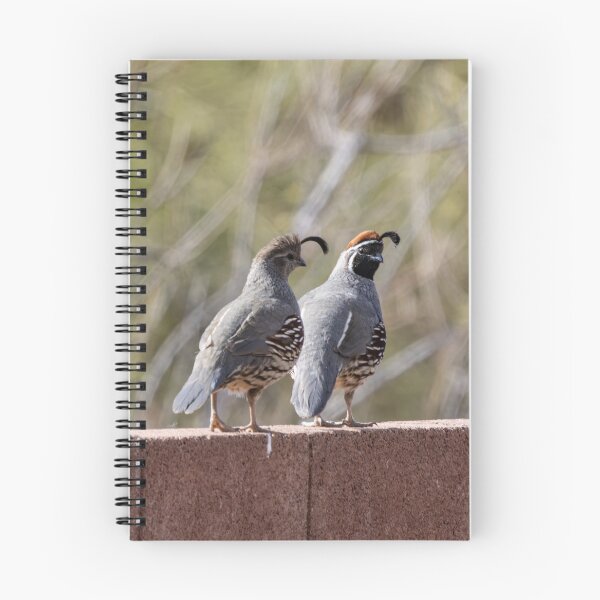 Item preview, Two quails on a morning walk designed and sold by SchelzHorizons.