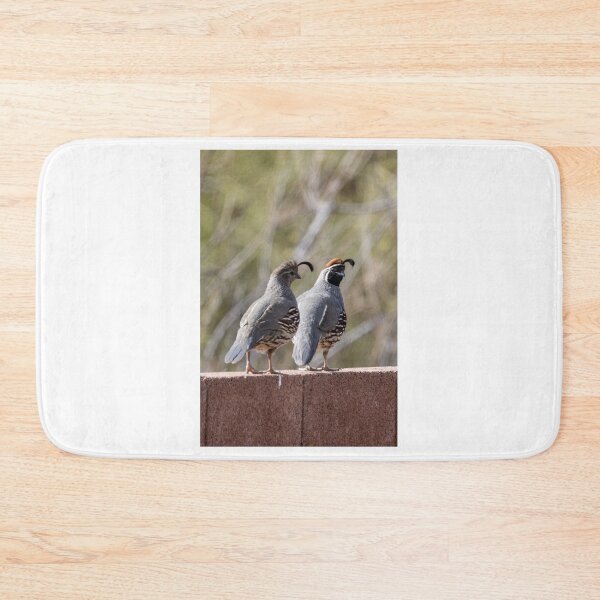Item preview, Two quails on a morning walk designed and sold by SchelzHorizons.