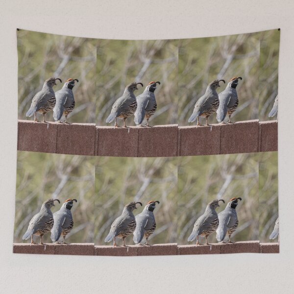 Item preview, Two quails on a morning walk designed and sold by SchelzHorizons.