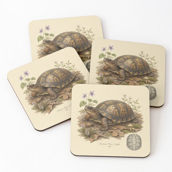 Item preview, Eastern Box Turtle Nature Study Art designed and sold by BloomStudio1.