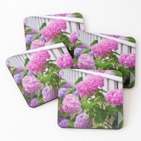 Item preview, Hydrangeas of Edgartown III - Pink & Purple Ombre Blooms Against a White Fence designed and sold by Loveisthebtwd.