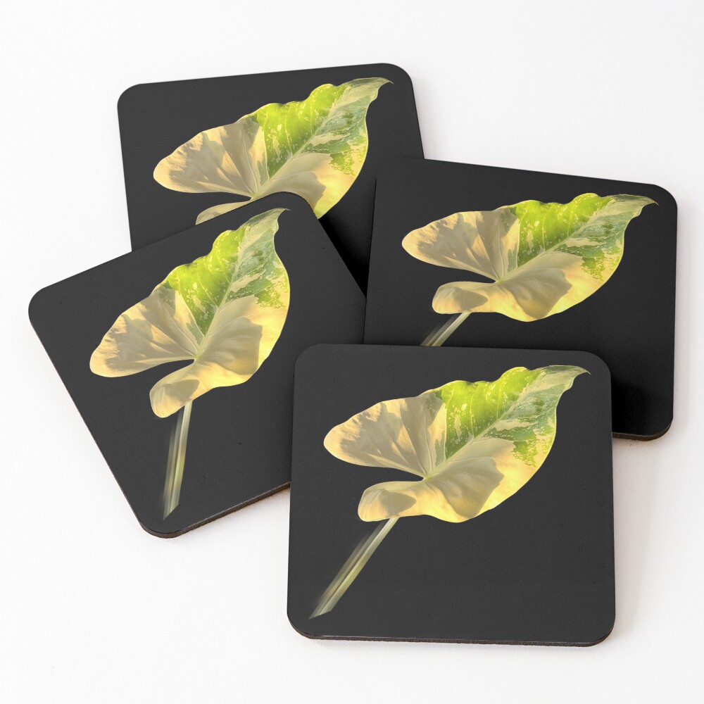 Item preview, Coasters (Set of 4) designed and sold by RomeoAzahar.